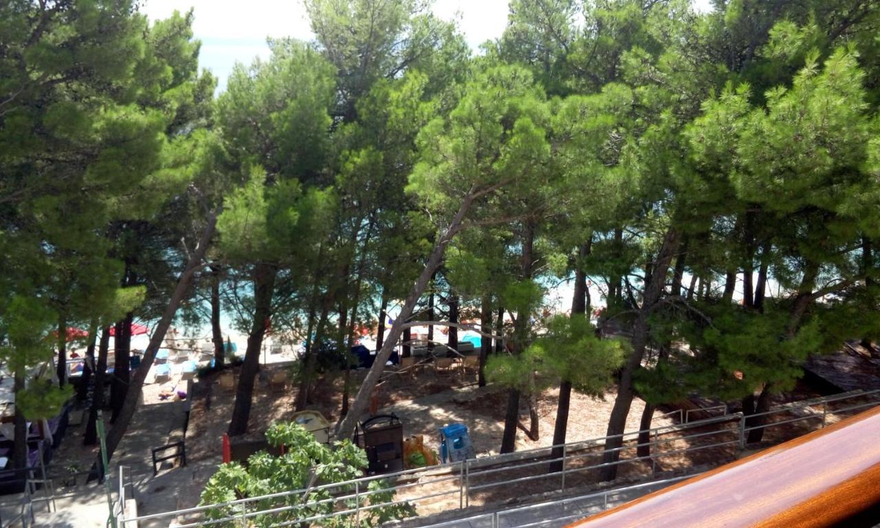 Villa Junona 巴什卡沃达 外观 照片